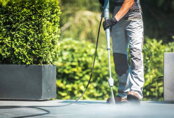 Best Boat and Dock Cleaning  in Floris, VA