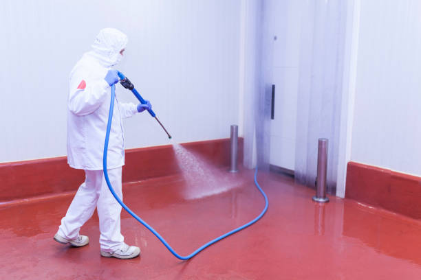 Best Driveway Pressure Washing  in Floris, VA